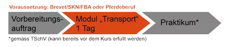 Kurs Pferdetransport - EquiTransport